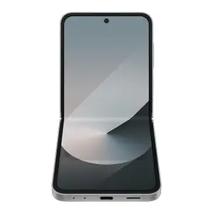 Samsung Galaxy Z Flip6 5G AI Silver Shadow 512GB