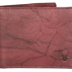 WildHorn Brown Mens Leather Wallet