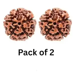 5 Mukhi Rudraksha | Paanch Mukhi Rudraksha | puja Articles Used as Locket, Pendant, mala Pack of 1