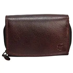 FT Genuine Leather Brown Color Formal Wallet for Women