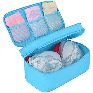 LAZYKARTS LAZYMARTS Travel Underwear Panties Bra Pouch Organizer Bag Pouch Waterproof Personal Garment Bag Case-Blue