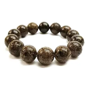 Lady Works Natural Baltic Amber 14mm Round Shape Smooth Cut Beads 7.5 Inch Stretchable Bracelet For Men & Women. Unisex Bracelet For Healing, Meditation, Prosperity, Gift & Luck|LW_BRST_01144_7.5