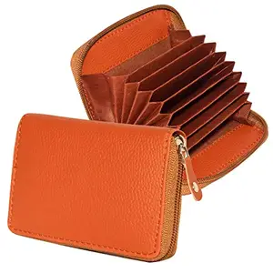 GREEN DRAGONFLY PU Leaher Tan Card Holder/Men's/Wallets Zip Card Holder Wallet