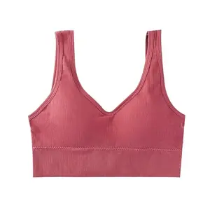 Girls and Womens Padded Inner wear for T-Shirts usePinkSize-28(T,in,AZ,ElasticPink-28LX,)