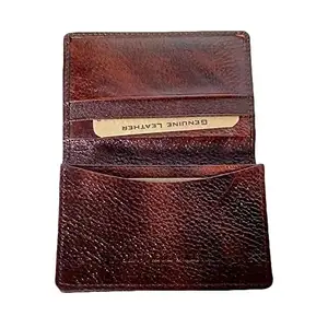 Sai Leela Women's Leather Card Holder (Brown, 10 x 12 x 1.5 cm)