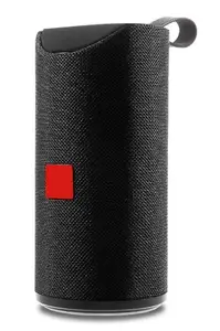 TG-113 10 Watt Wireless Bluetooth Portable Speaker
