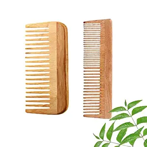 DAUMI Ayurvedic Neem Wood Anti Dandruff Hair Comb (pack of 2) Natural & Eco-Friendly | Natural Hair Styling Comb with Fine & Wide Teeth Comb | Made in India For Men & Women