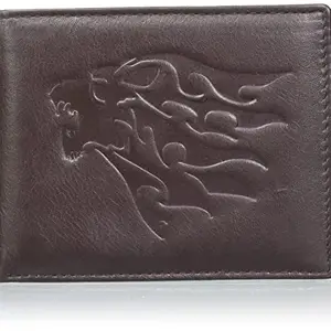 Justrack Men Dark Brown Color Genuine Leather Wallet (LWM00212-JT_6)