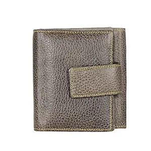 Walletsnbags Arizona Leather Ladies Wallet Purse Grey (LW72-GRY)