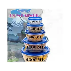 Kitchen Container |250+450+800+1400+2500 ml| Stackable Refrigerator Organizer for Fresh Food Storage | BPA-Free Kitchen Solution Transparent food storage Stackable frid|design - 438for home