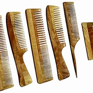 Ginni Innovations Combo of 6 Neem Wood Combs
