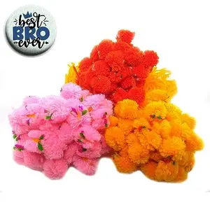 Ascension (Pack of 40) Ram Rakhi Flower Gota Pati Rakhi Pooja Rakhi Pom Pom Rakhi Feather Soft Children Rakhi Sharvan God Rakhi Rakhi Ram Rakhi & Best Brother Fridge Magnet