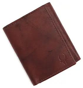 WildHorn Leather wallet for Men I Ultra Strong Stitching I 2 Currency Compartments