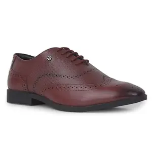 Lace-Up Brogue Shoes in Leather for Men by LEE Cooper