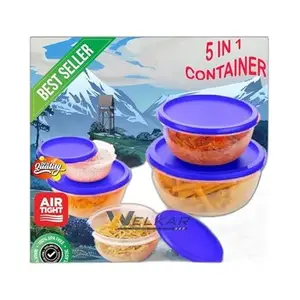 Kitchen Container |250+450+800+1400+2500 ml| Stackable Refrigerator Organizer for Fresh Food Storage | BPA-Free Kitchen Solution Transparent Food Storage Stackable frid|Design - 485for Home