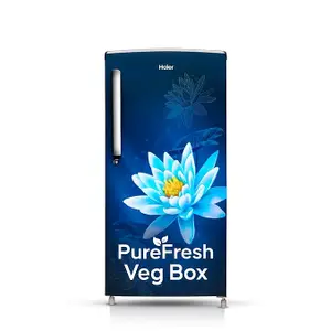 Haier 175 L, 2 Star, Direct-Cool Single Door Refrigerator (HED-182ML-N, Marine Lotus, 2024 Model)