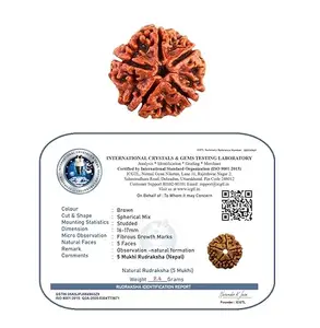 Divinity Healing 5 Mukhi Rudraksha Nepali Original Certified Natural Bead 17mm Plus Big Size Powerful for Healing and Meditation