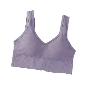 Girls and Womens Padded Inner wear for T-Shirts usePurpleSize-32(R,Iw,in,AZ,ElasticPurple-32AB,)
