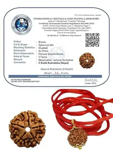 Divinity Healing Big Size 5 Mukhi Rudraksha Certified Original Nepali 17mm Plus Natural Bead for Meditation and Wellness