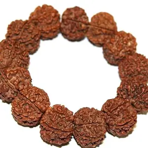Astro Cart Modern 7 Mukhi Original Nepali Pure Rudraksha Bracelet - Saat Mukhi सात मुखी रुद्राक्ष ब्रेसलेट 7|Seven Face Rudraksha Nepal Beads Barcelet For Unisex