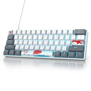 Owpkeenthy RGB Mechanical Keyboard 60 Percent Red Switches, Ultra-Compact Mini Wired Gaming Keybaord
