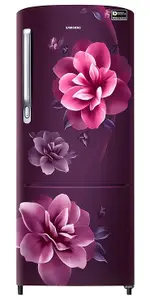 Samsung 223L 3 Star Inverter Direct-Cool Single Door Refrigerator Appliance (RR24C2823CU/NL,Camellia Base Stand Drawer 2023 Model)