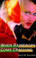 When Raindrops Come Crashing(English, Paperback, Bachman David M)