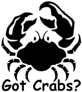 Indiashopers Phrases for(Black)