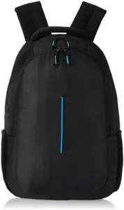 PlayCraft PlayCraft P_001 27 L Laptop Backpack(Black)