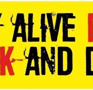 Rover Sticker & Decal for Car(Yellow, Black, Red)