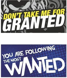 Rover Sticker & Decal for Bike(Black, Blue)