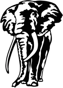 Fusion Graphix Signs for(Black)