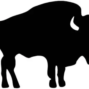 Fusion Graphix Signs for(Black)