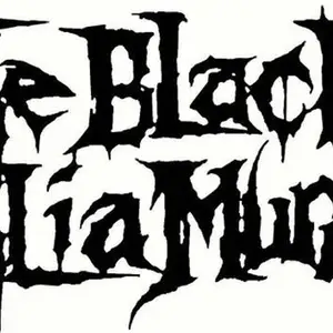 Fusion Graphix Phrases for(Black)