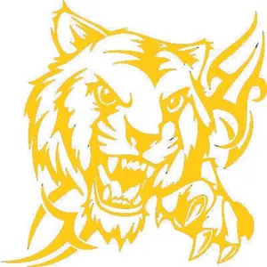 marvellous Sticker & Decal for Bike(Gold)