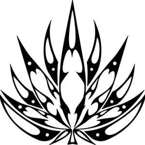 Wall Design Sticker & Decal for Bike(Black)