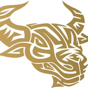 Wall Design Sticker & Decal for Bike(Gold)