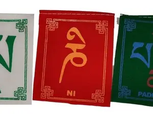 SCORIA Emblem for Bike(Multicolor)