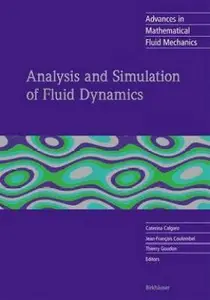 Analysis and Simulation of Fluid Dynamics  (English, Hardcover, unknown) price in India.